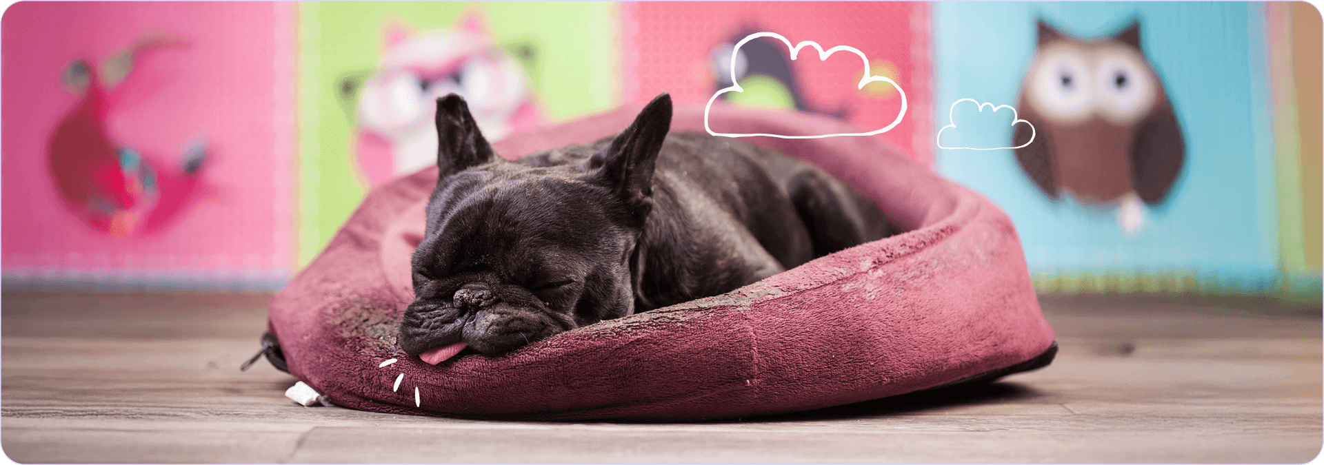 Cane che Dorme