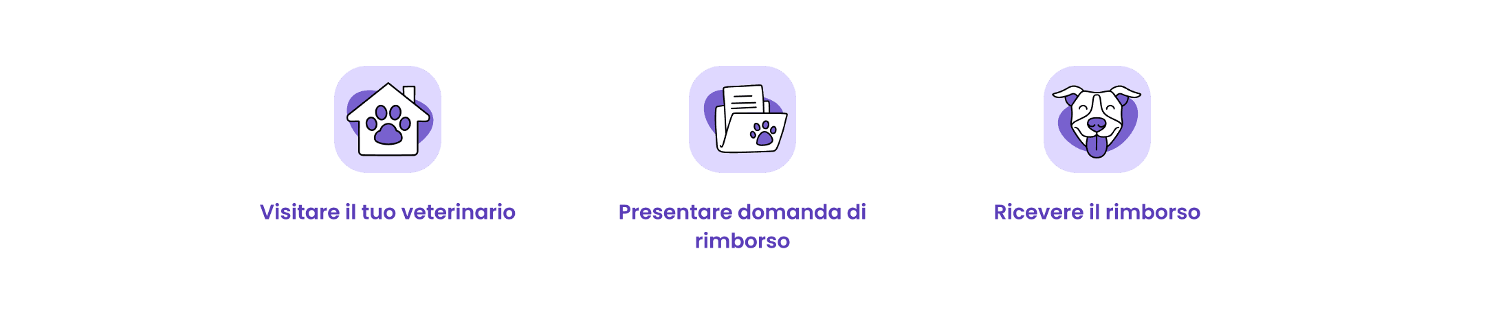 Icone processo acquisto baboop