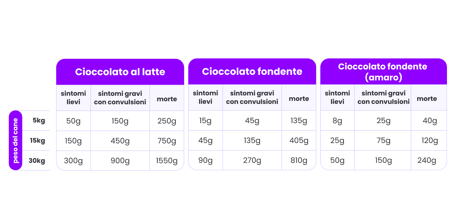 quantità cioccolata cane